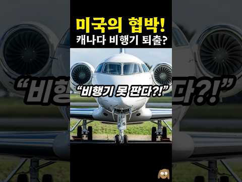 <strong>캐나다</strong> 비행기 멸망 위기 ㄷㄷ
