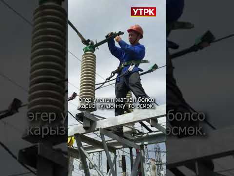 Уурулук уланса, карыз өсмөк.