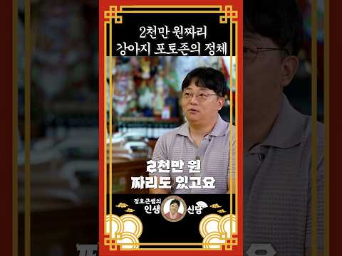 강아지 사진 한 장 찍는 곳이 2천만 원?!       #인생조언 #외도심리 #자기계발 #부자의삶 #명언 #운명이야기 #지혜 #유명한점집 #철학 #결혼운