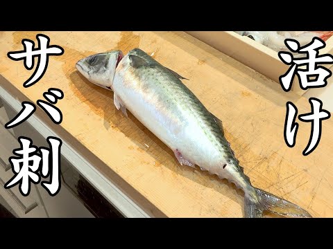 【6月オススメ】活けで食べたら一番美味い魚がこちらです。