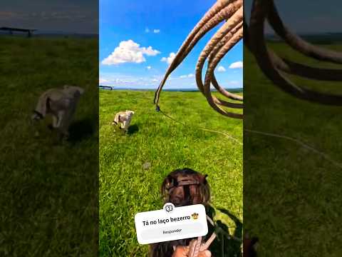 Tá no laço bezerro 🤠 #shortvideo #agro #gado #fazenda #viralvideo #shorts #vaqueiro