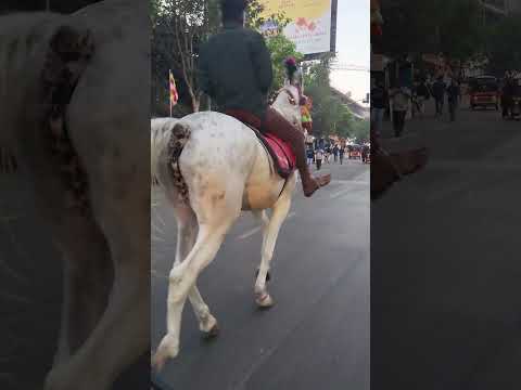 horse riding, THANE,kapurbawdi,#Ramzaan Mubarak, LIKE & SUBSCRIBE ❤️