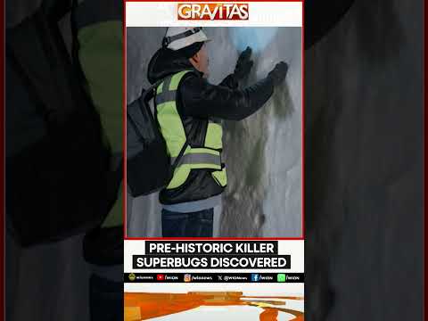 5,000-year-old Bacteria Resistant to 10 Antibiotics | Gravitas Shorts