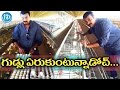 Bandla Ganesh Eggs Picking Photo Going Viral In Social Media