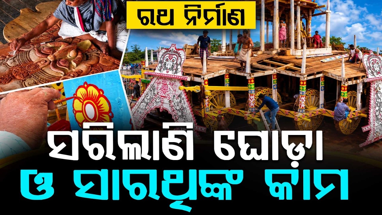 ରଥ ନିର୍ମାଣ... | Puri Rath Yatra 2026 | Chariot Construction Reaches Final Stage | Argus News