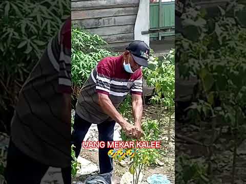 tagihan kredit🤏 #lucu