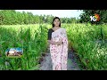 Andu korra Cultivation | అండుకొర్ర సాగు యాజమాన్యం | Matti Manishi | 10TV News  - 02:43 min - News - Video