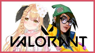 【#Valorant】obsダウングレードしたっ！ヴァロする【朝霧くるみ/Vtuber】