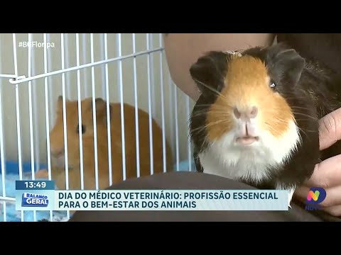 Dia do Médico Veterinário: celebrando o trabalho essencial para todos os animais