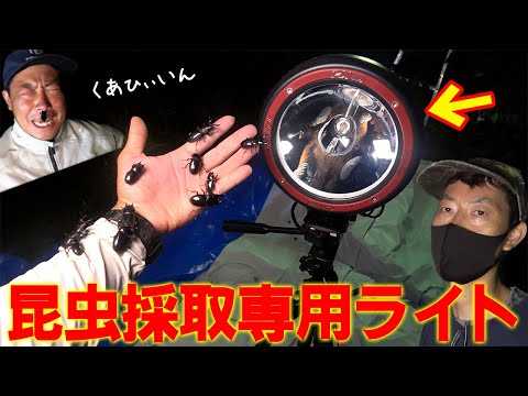 昆虫採取専用ライトで森の昆虫達を召喚します!!