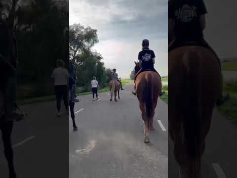 #horse #horses #pony #buiten rijden