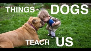 那些狗狗教會我們的事