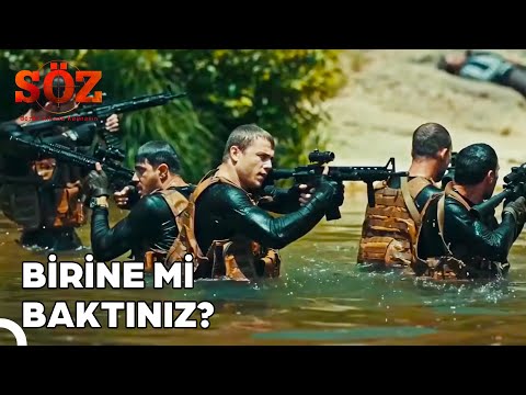 Tim Sürpriz Yapmayı Sever | Söz