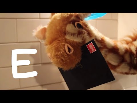 Mr.T Does Phonics - Letter E