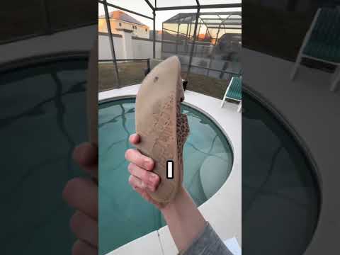 It Was Cooked In 0.3 Seconds… #fypシ  #trend #foryou #shortvideo