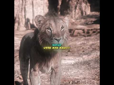 Taka ki love story#emotionalscene#thelineking#mufasa