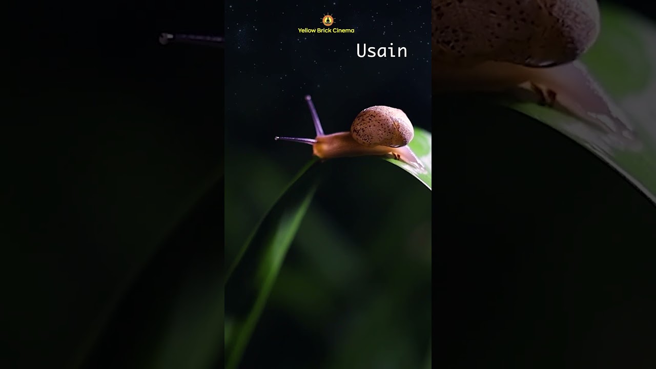 Snailor Swift vs Usain: The Most Relaxing Snail Video Ever Made 🐌 Full Video Link in Description