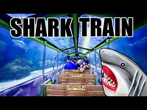 Downtown Aquarium Houston Train (Shark Voyage) POV