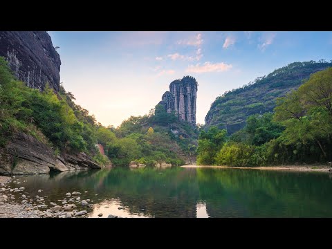 Live: Exploring Wuyi Mountain's natural secrets and unique conservation efforts