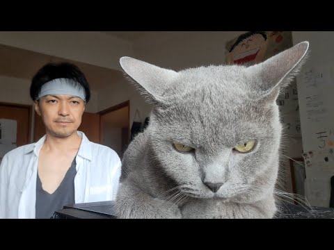 説得