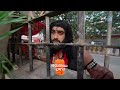 Nindu Noorella Saavasam | Ep 117 | Preview | Dec, 27 2023 | Richard Jose, Nisarga | Zee Telugu  - 01:04 min - News - Video