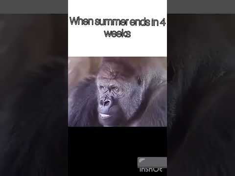 #school #sucks #am #I #right #fellas