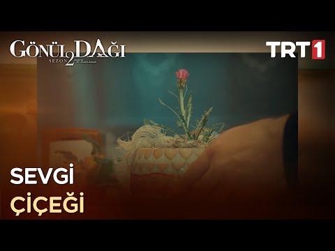 “Büyük büyük söyleyeceğim seni sevdiğimi…” - Gönül Dağı 60. Bölüm