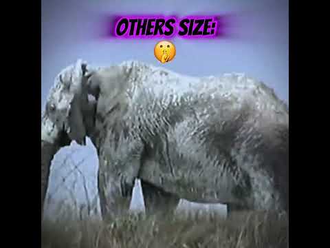 Gigantic Living Creature