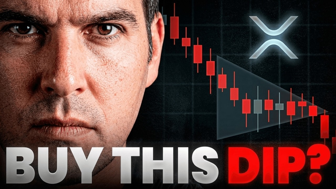 OFFICIAL: XRP Whales Just Made Their Move