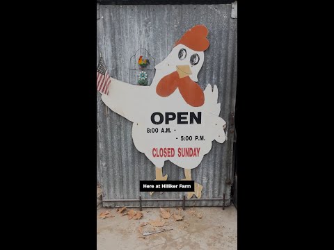 Bird flu has people flocking to egg deals