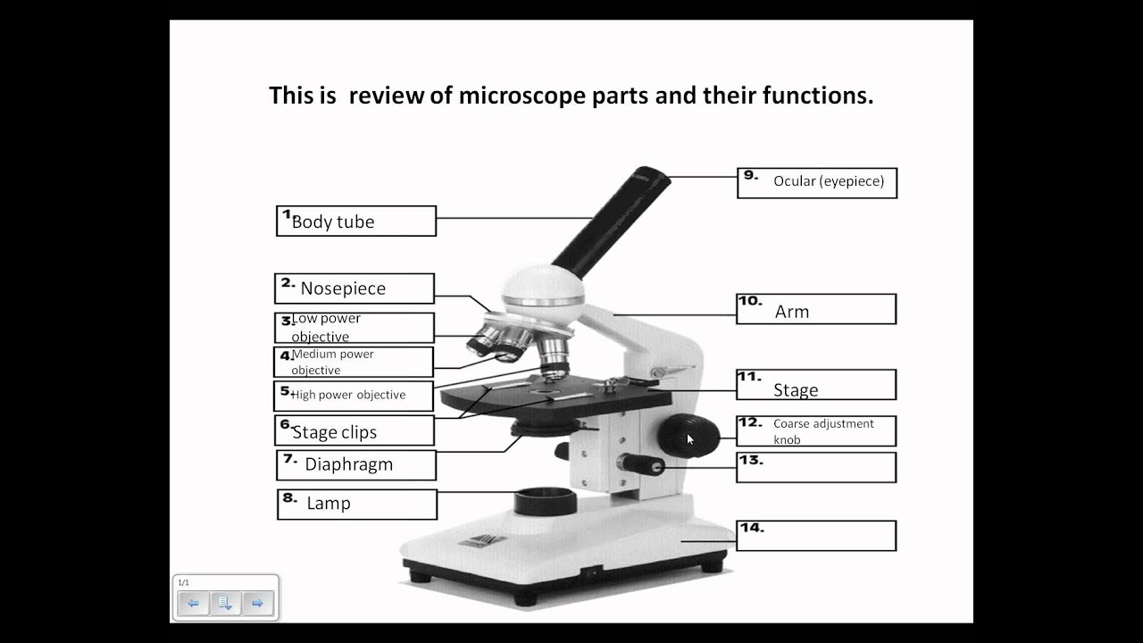 Microscope Review.wmv - YouTube