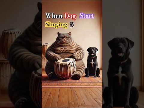 Funny Cat Plays Tabla While Dog Sings #funny #cat #viral #shorts