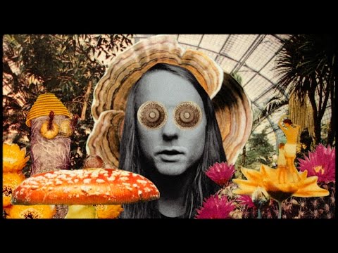 Andy Shauf -