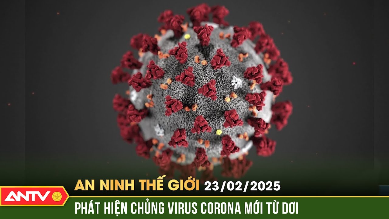 Phát hiện virus mới ở dơi có thể lây sang người như Covid-19 | An ninh Thế giới ngày 23/2 | ANTV
