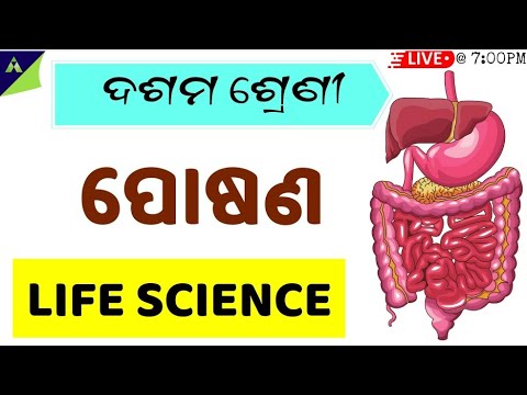 Nutrition (ପୋଷଣ) 10th class life science chapter-1 in odia | Nutrition for class 10th odia |Exercise