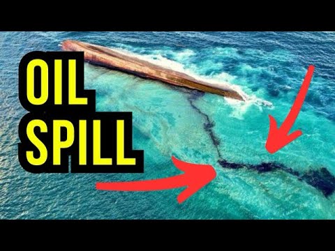 Oil Spill brings out Thousands of Volunteers to help...