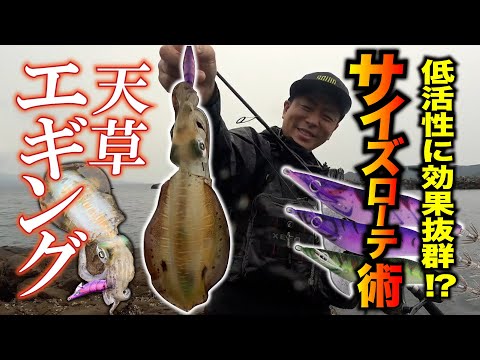 【天草エギング】低活性にはサイズローテーションが効く！ハグハグ3号&2.5号で楽しむショアエギング！【ハグハグ】