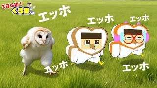動画サムネイル