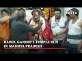 On Bharat Jodo Yatra, Rahul Gandhis Temple Run In Madhya Pradesh