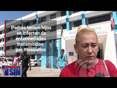 Padres temen hijos se infecten de enfermedades transmitidas por mosquitos