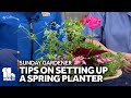 Sunday Gardener: Helpful tips for using planters in your garden