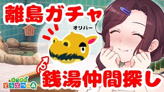 【あつ森】離島ガチャで風呂ガチ勢オリバーを"せん島”にスカウトしたい！初見さんも歓迎！【 トリビア学園  VTuber 夜千クロエ 】