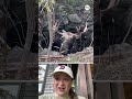 Moose rescued after getting stuck in abandoned well