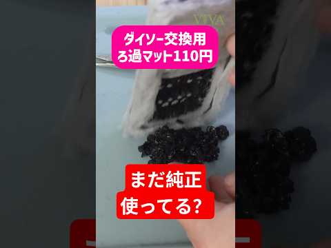 ダイソーvsGEX！30円の差をどう見る？スリムフィルターにろ過マット3ヶ月使用レビュー【ビバアクア】