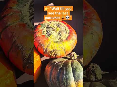 Pumpkin patch chaos in the UK🎃Which one would you pick? #pumpkinpatchuk #halloweenuk  #pumpkin #fall