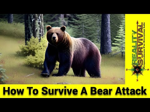 How To Survive A Bear Attack