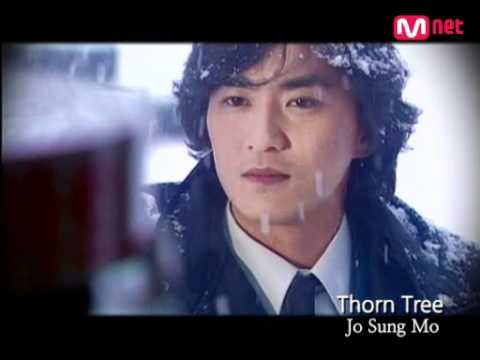 Jo Sung Mo (조성모) - Thorn Tree (가시나무)