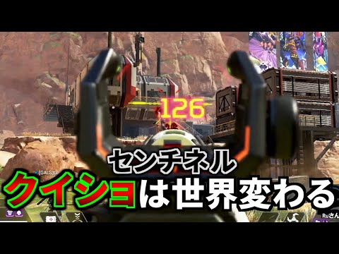 師匠を見習ってセンチネルの"クイショ"をひたすら練習したら、世界変わったわ | Apex Legends