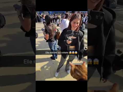 Elle écrase voltaire 🤭