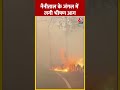 तेजी से फैल रही उत्तराखंड के जंगल की आग | Nainital forest fire | #shorts #shortsvideo #viralshorts  - 00:34 min - News - Video